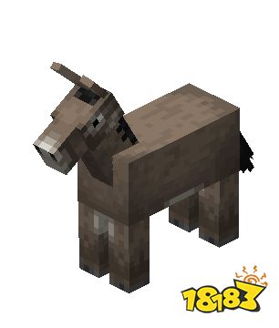 我的世界驴在哪里生成 我的世界驴生成方法介绍