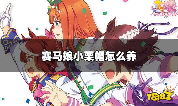 赛马娘小栗帽怎么养