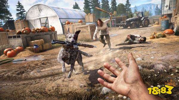 孤岛惊魂5全伙伴获得方法 全专家任务攻略