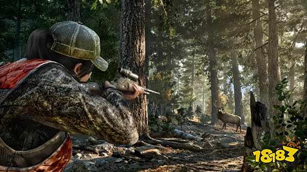 孤岛惊魂5全伙伴获得方法 全专家任务攻略