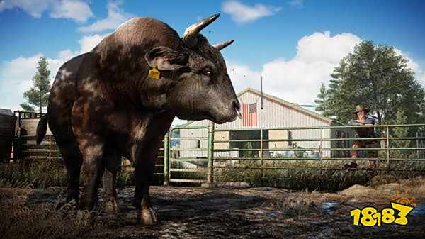 孤岛惊魂5全伙伴获得方法 全专家任务攻略