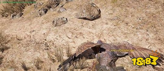 孤島驚魂5蛋蛋節任務怎么做 支線任務蛋蛋節流程攻略