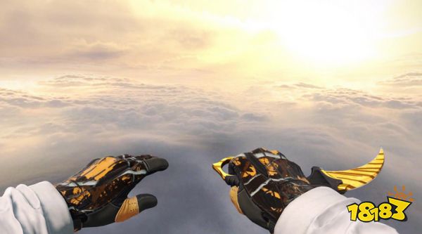 CSGO爪子刀虎牙吃磨損嗎 爪子刀虎牙磨損推薦