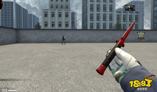 CSGO短劍深紅之網(wǎng)配什么手套 短劍深紅之網(wǎng)搭配手套