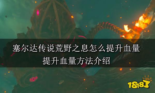 塞尔达传说荒野之息怎么提升血量 提升血量方法介绍