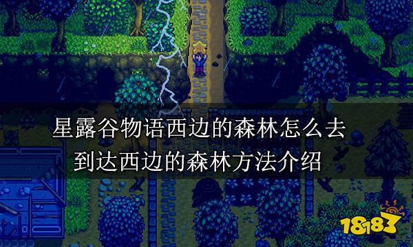 星露谷物语西边的森林怎么去 到达西边的森林方法介绍