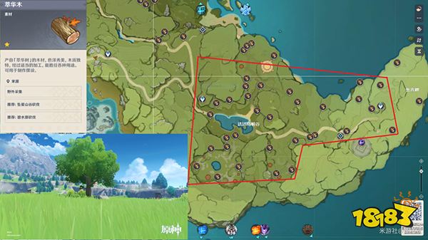 原神木材采集位置总览 不同种类的木头都在哪