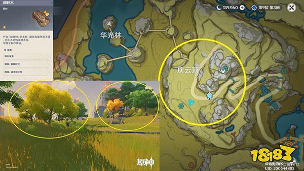 原神木材采集位置总览 不同种类的木头都在哪