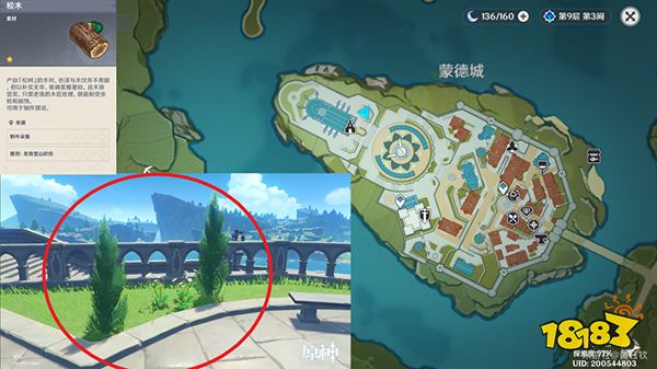 原神木材采集位置总览 不同种类的木头都在哪