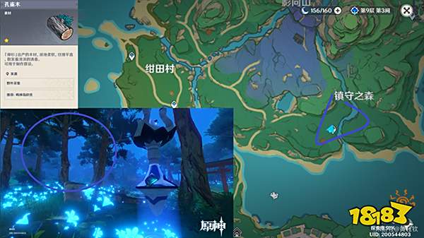 原神木材采集位置总览 不同种类的木头都在哪