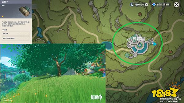 原神木材采集位置总览 不同种类的木头都在哪