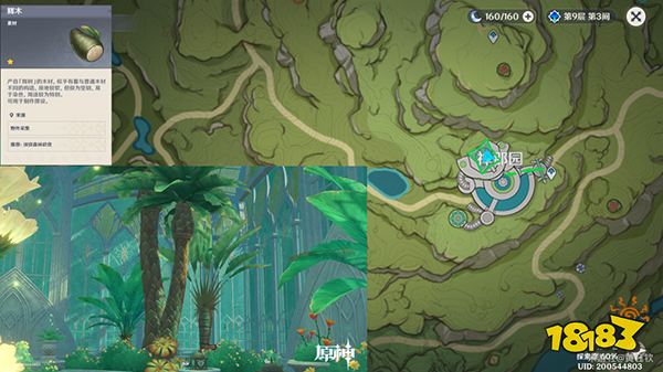 原神木材采集位置总览 不同种类的木头都在哪