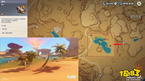 原神木材采集位置总览 不同种类的木头都在哪