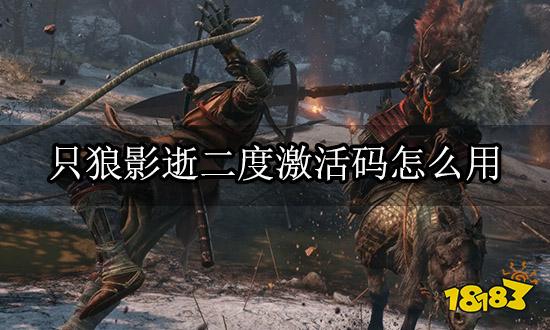 只狼影逝二度激活码怎么用 游戏激活码使用指南