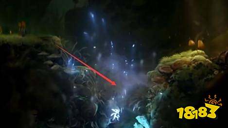 奥日与迷失森林可破坏的地面怎么破坏 地面破坏方法