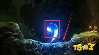 奥日与迷失森林可破坏的地面怎么破坏 地面破坏方法