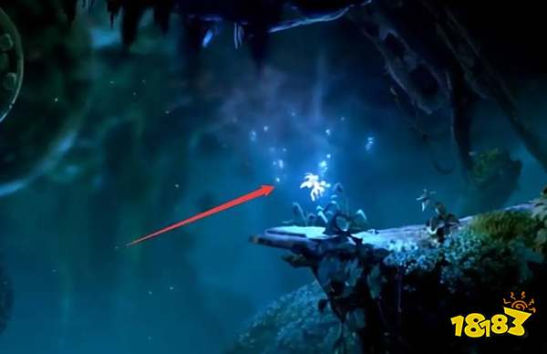 奥日与迷失森林怎么传送 奥日与迷失森林传送方法