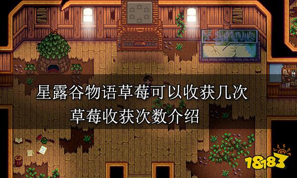 星露谷物语草莓可以收获几次 草莓收获次数介绍
