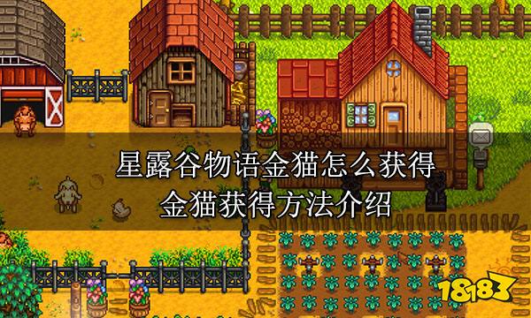星露谷物语金猫怎么获得 金猫获得方法介绍