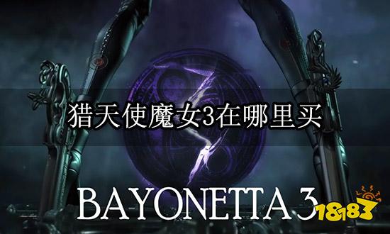 猎天使魔女3在哪里买 游戏售价商店页面一览