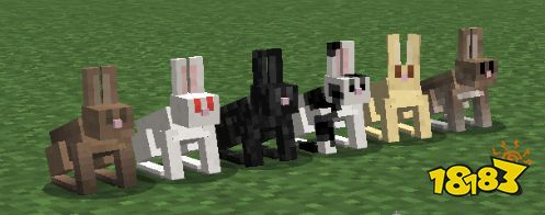 我的世界兔子怎么驯服 我的世界兔子驯服方法介绍