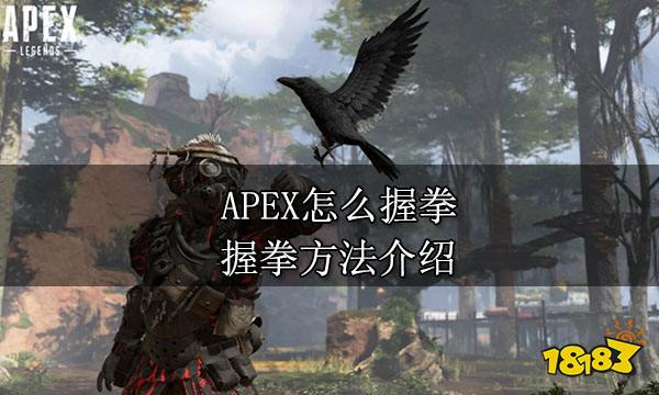 APEX怎么握拳 握拳方法介绍