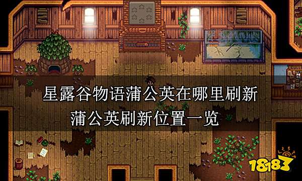 星露谷物语蒲公英在哪里刷新 蒲公英刷新位置一览