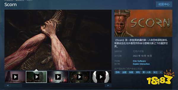 蔑视steam名字叫什么 蔑视英文名介绍