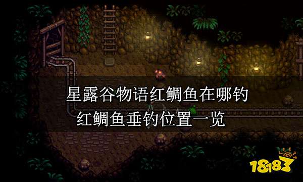 星露谷物语红鲷鱼在哪钓 红鲷鱼垂钓位置一览