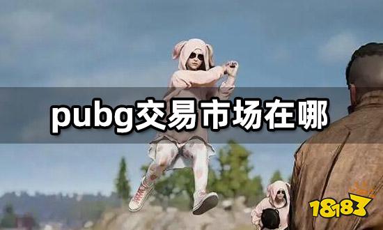 pubg交易市场在哪 限定服饰折扣购买平台分享
