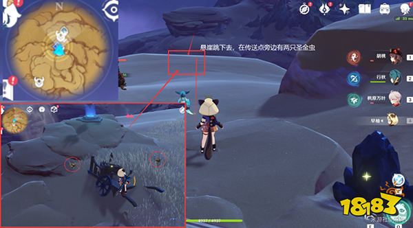 原神聖金蟲採集路線超詳細教程 聖金蟲怎麼獲得