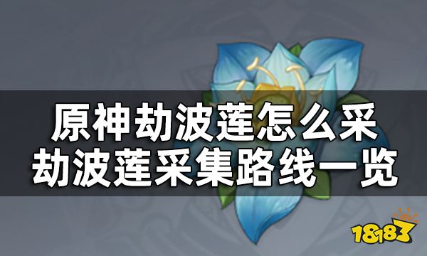 原神劫波莲采集路线一览 劫波莲怎么采