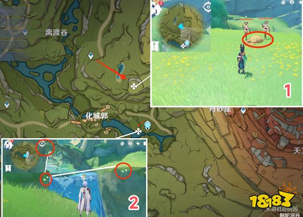 原神劫波蓮采集路線一覽 劫波蓮怎么采