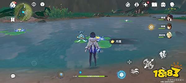 原神月莲位置分布一览 月莲超轻松采集路线一览