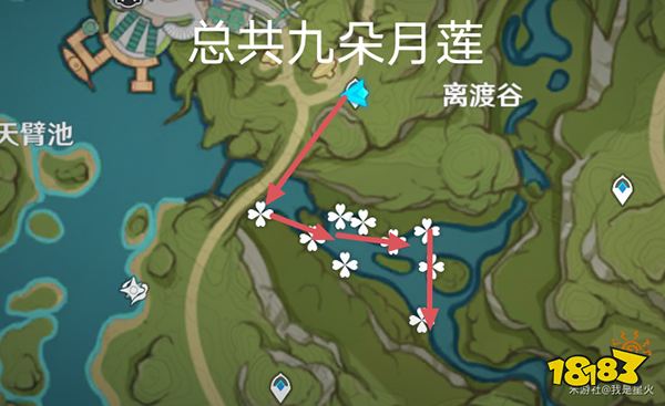 原神月莲位置分布一览 月莲超轻松采集路线一览