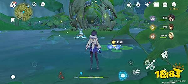 原神月莲位置分布一览 月莲超轻松采集路线一览