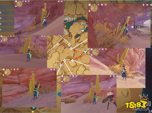 原神赤念果采集路线一览 赤念果地图位置分布图