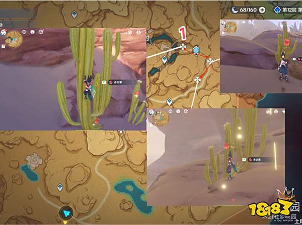 原神赤念果采集路线一览 赤念果地图位置分布图