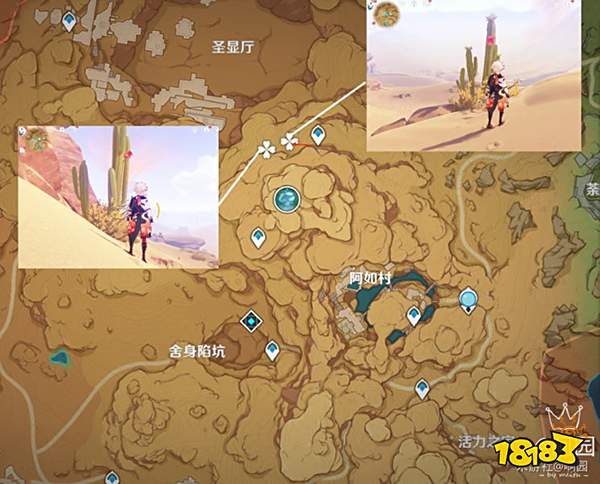 原神赤念果采集路线一览 赤念果地图位置分布图