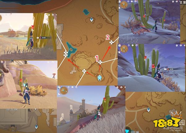 原神赤念果采集路线一览 赤念果地图位置分布图