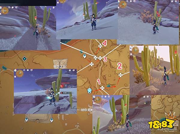 原神赤念果采集路线一览 赤念果地图位置分布图