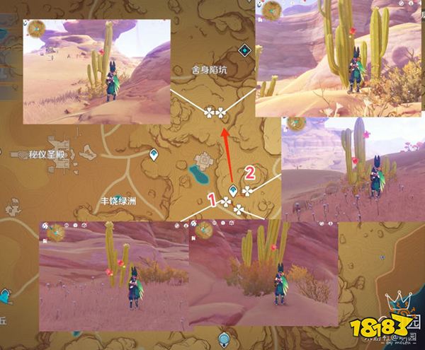 原神赤念果采集路线一览 赤念果地图位置分布图