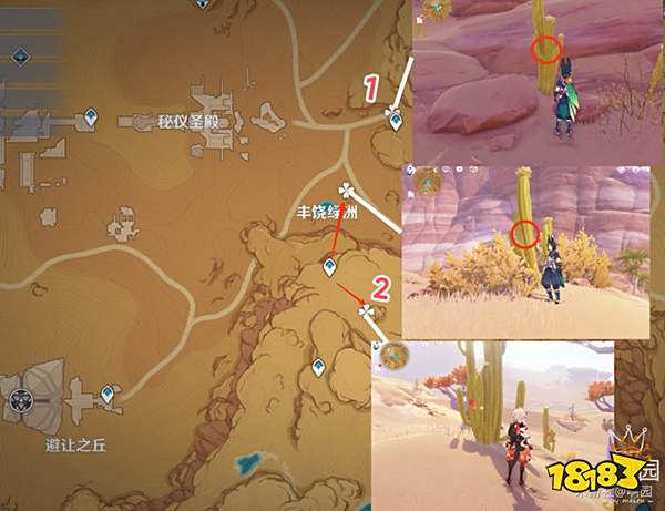 原神赤念果采集路线一览 赤念果地图位置分布图