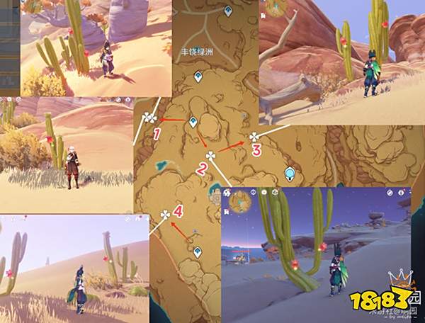 原神赤念果采集路线一览 赤念果地图位置分布图