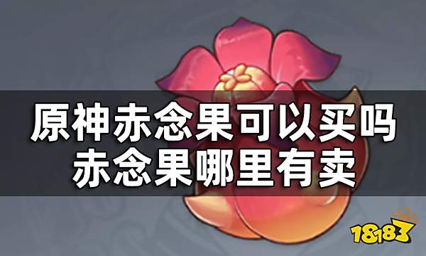 原神赤念果可以买吗 赤念果哪里有卖