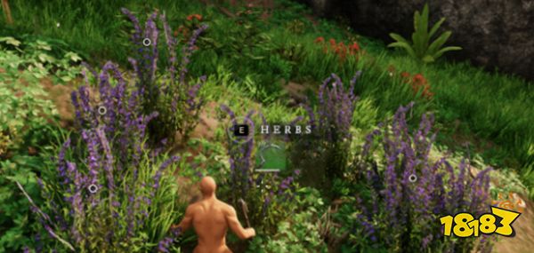 新世界腐化药水怎么合成 New World腐化药水合成指南