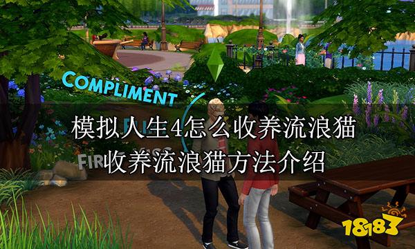 模拟人生4怎么收养流浪猫 收养流浪猫方法介绍