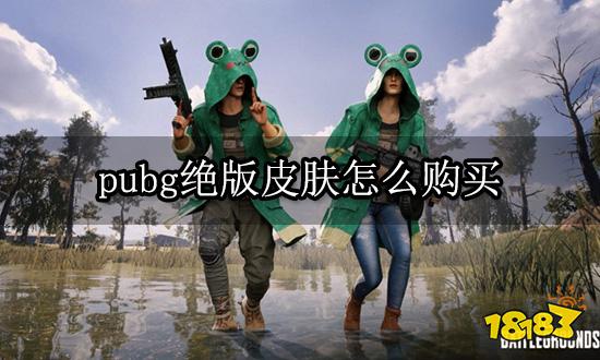 pubg绝版皮肤怎么购买 绝版皮肤购买方法介绍