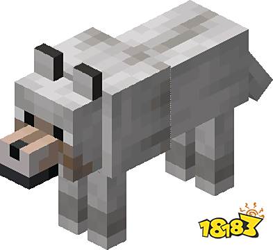 我的世界狼在哪里找 我的世界狼生成条件介绍