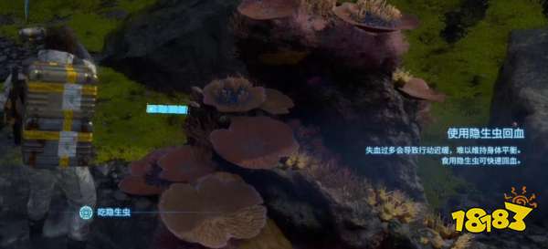 死亡搁浅基础数值有哪些 主角基础数值介绍